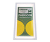 Trappola y feromona para insectos asiáticos - kit de feromona y 2 trampas