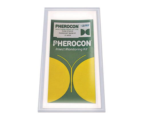 Trap and pheromone for Asian bedbug - Kit 1 pheromone and 2 traps
