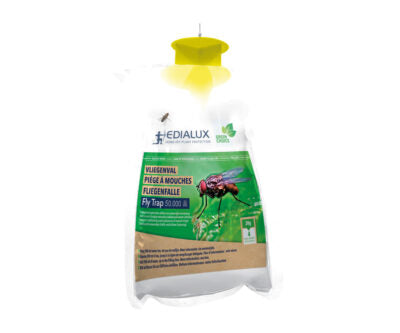 Flici trap trap for flies