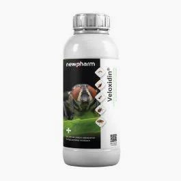 Insetticida per mosche, formiche, zecche e pulci Newpharm Veloxidin 1 litro