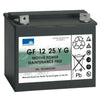 Batteria a gel 12 V 25 Ah per swingo 150/350/455/755 Diversey TASKI 2 pezzi