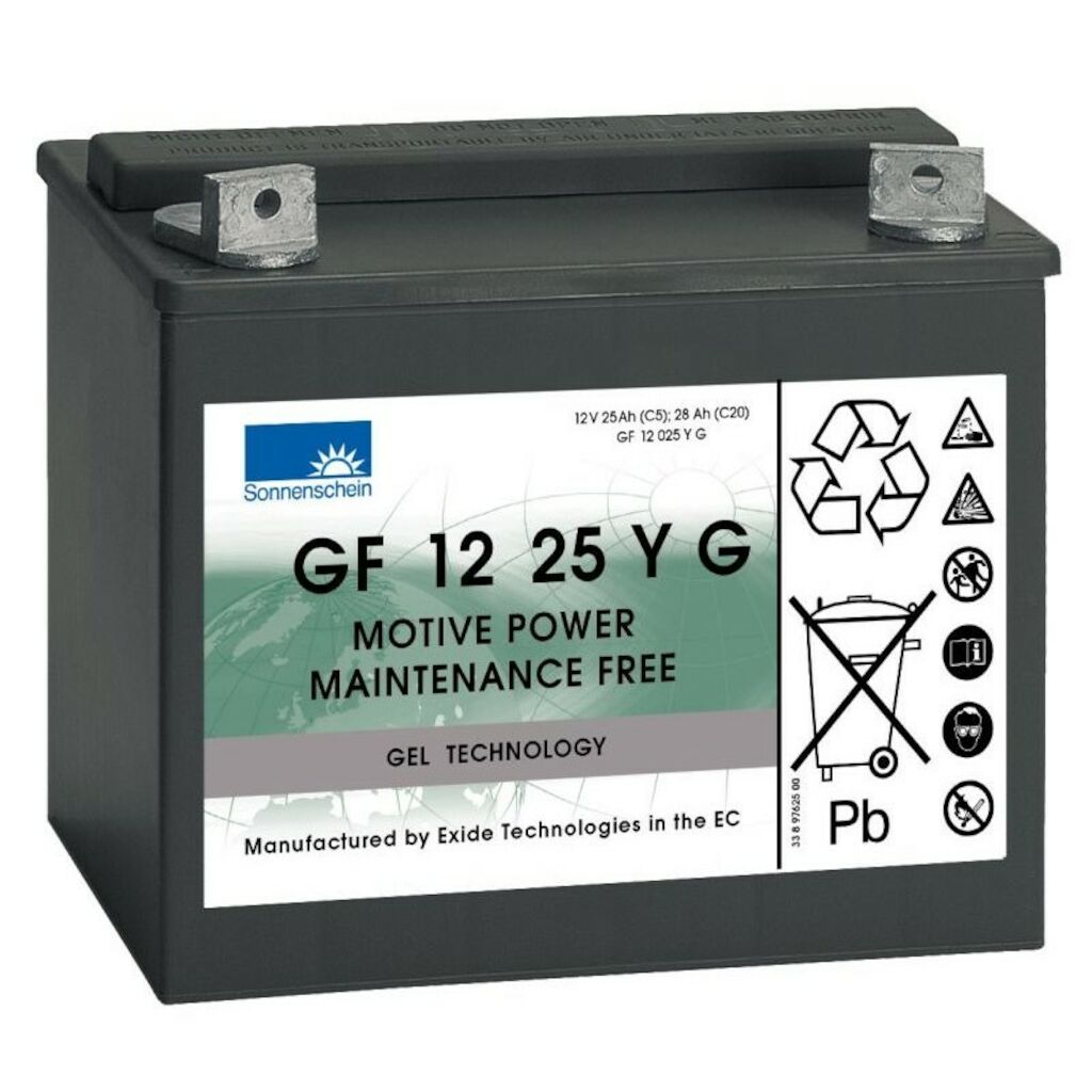Batteria a gel 12 V 25 Ah per swingo 150/350/455/755 Diversey TASKI 2 pezzi