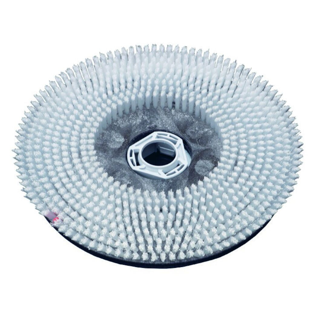 Spazzola standard in nylon 43 cm Diversey TASKI