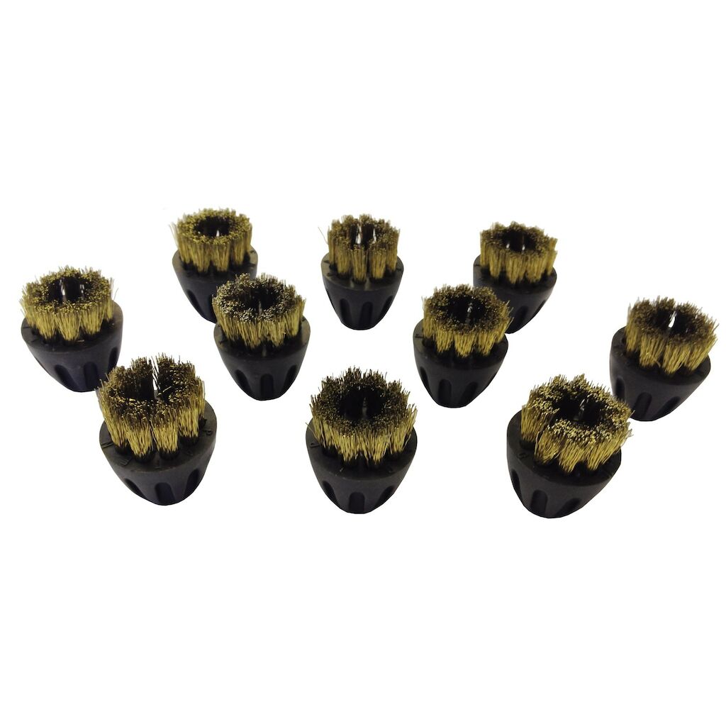Spazzolino in ottone (push fit piccolo) per TASKI Steam Diversey TASKI 10 pezzi