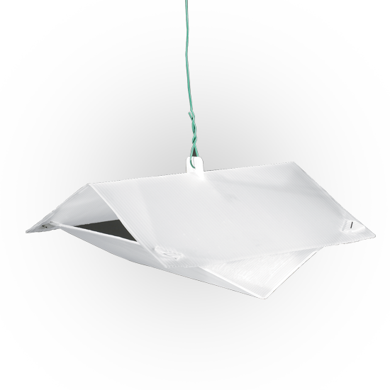 Kit trappola per lepidotteri delle derrate con 5 trappole e 15 fondi collanti Bleu Line Toto Trap