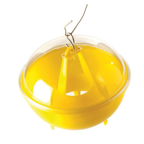 Trappola per vespe e calabroni Vebi Vespa Trap