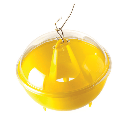 Trappola per vespe e calabroni Vebi Vespa Trap
